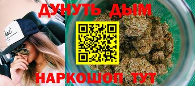 гидра Краснодар