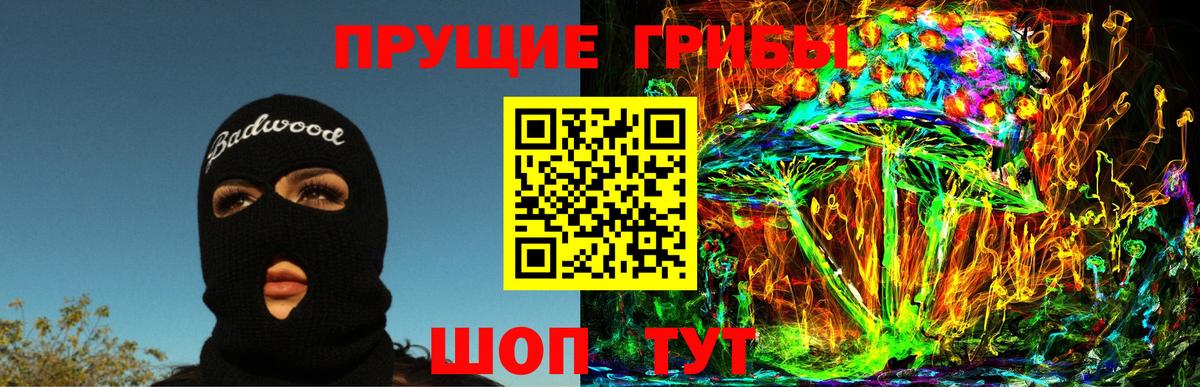 Псилоцибиновые грибы Psilocybe  Вход с VPN  Галлюциногенные грибы мицелий  Тихорецк 